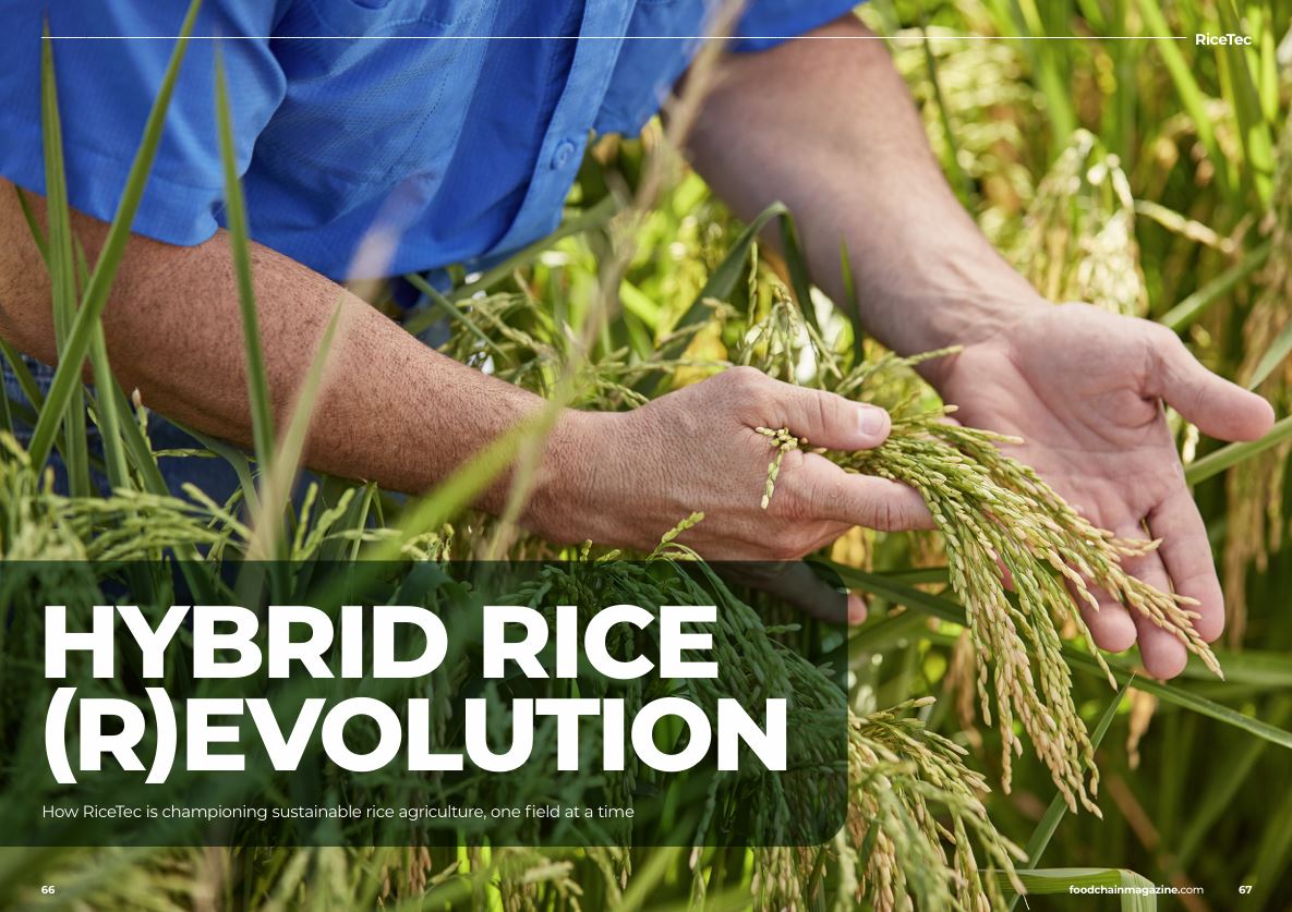 hybrid rice revolution