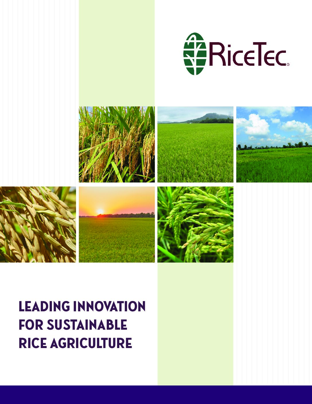 RiceTec overview brochure - 2026